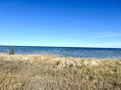 Gorgeous view across the street of Lake Huron from this - photo 17