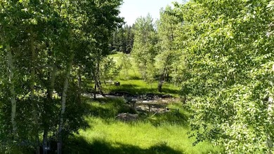 The Homestead is 40 amazing acres and boasts a charming 3800 - photo 18