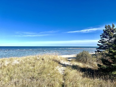 Gorgeous view across the street of Lake Huron from this - photo 20