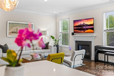 Welcome to 116 Aviendha Lane in Troutman! Just minutes from - photo 20