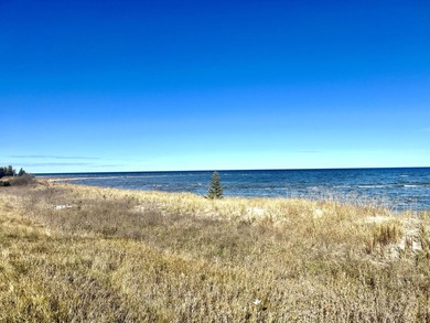 Gorgeous view across the street of Lake Huron from this - photo 21