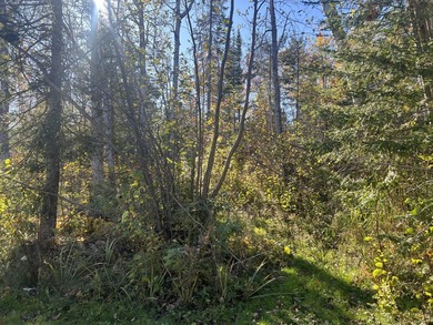 Gorgeous view across the street of Lake Huron from this - photo 22
