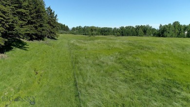 The Homestead is 40 amazing acres and boasts a charming 3800 - photo 22