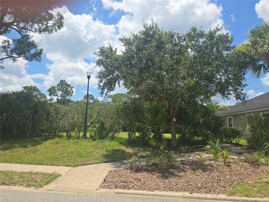Build the home you've always envisioned on this pristine 75x120 - photo 1