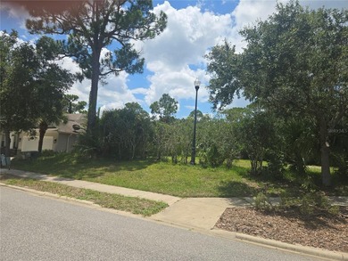 Build the home you've always envisioned on this pristine 75x120 - photo 2