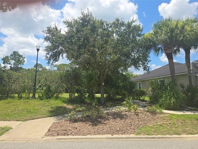Build the home you've always envisioned on this pristine 75x120 - photo 3