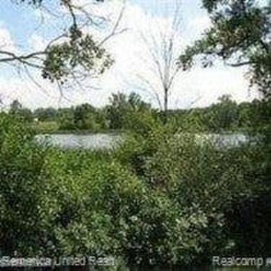 (private lake, pond, creek) Acreage For Sale in Pontiac Michigan