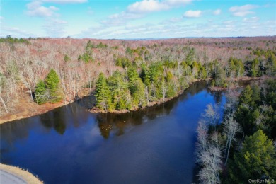 (private lake, pond, creek) Acreage For Sale in Monticello New York