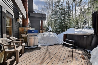 Ideally positioned in Silver Lake, with ski to, ski from access - photo 60
