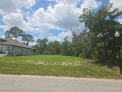 Build the home you've always envisioned on this pristine 60x140 - photo 1