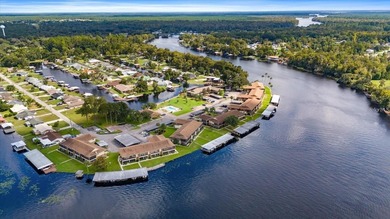 (private lake, pond, creek) Condo For Sale in Astor Florida