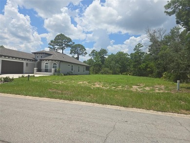 Build the home you've always envisioned on this pristine 60x140 - photo 2