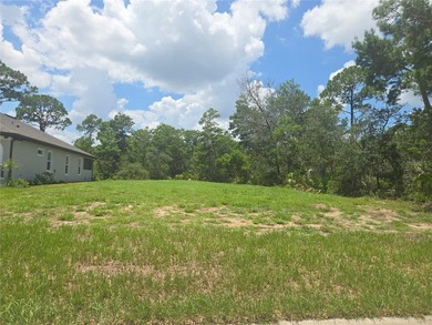 Build the home you've always envisioned on this pristine 60x140 - photo 3