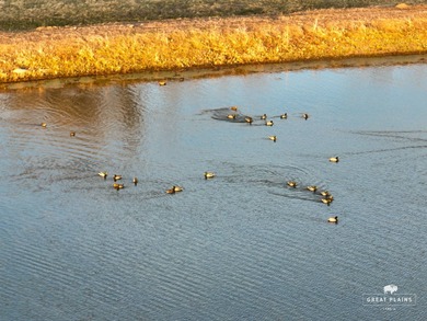 (private lake, pond, creek) Acreage For Sale in Strasburg Colorado