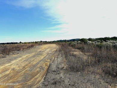 Discover this exceptional 185.15+/- acre parcel located just - photo 13