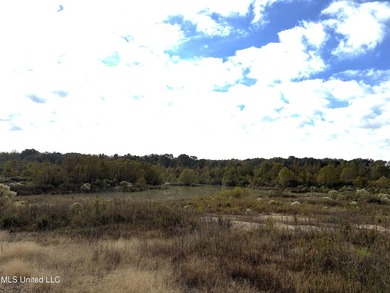 Discover this exceptional 185.15+/- acre parcel located just - photo 14