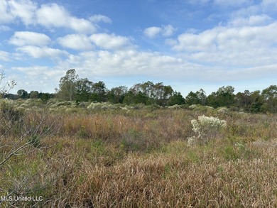 Discover this exceptional 185.15+/- acre parcel located just - photo 23