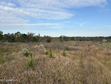 Discover this exceptional 185.15+/- acre parcel located just - photo 24