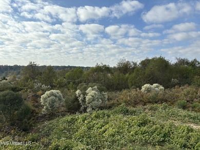 Discover this exceptional 185.15+/- acre parcel located just - photo 28