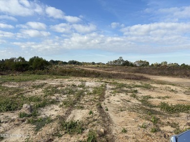 Discover this exceptional 185.15+/- acre parcel located just - photo 32