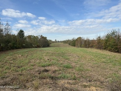 Discover this exceptional 185.15+/- acre parcel located just - photo 35