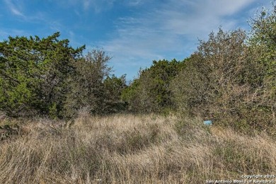 Lake Medina Acreage For Sale in Mico Texas