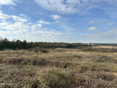 Discover this exceptional 185.15+/- acre parcel located just - photo 43