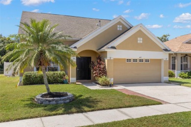(private lake, pond, creek) Home Sale Pending in Riverview Florida