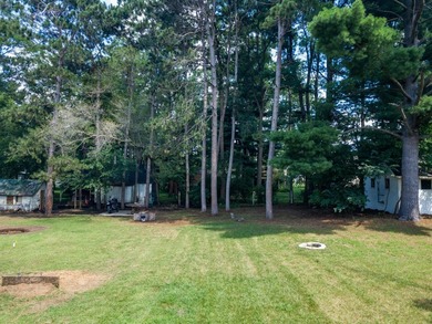 This prime lot in the heart of Lake Delton can be yours today! - photo 9