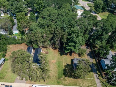 This prime lot in the heart of Lake Delton can be yours today! - photo 10