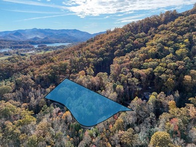 Lake Chatuge Lot For Sale in Hayesville North Carolina