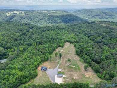 (private lake, pond, coastal) Home For Sale in Blountsville Alabama