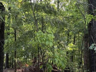 Lake Lot For Sale in Greers Ferry, Arkansas
