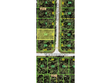 Build your Dream Home on this Residential lot at 449 Lemoyne St - photo 2
