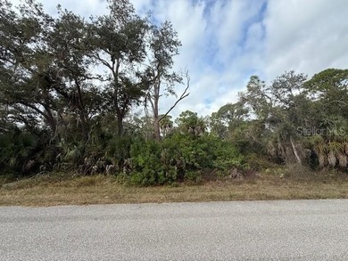 Build your Dream Home on this Residential lot at 449 Lemoyne St - photo 3