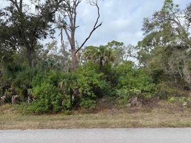 Build your Dream Home on this Residential lot at 449 Lemoyne St - photo 4