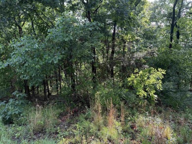 Lake Lot For Sale in Greers Ferry, Arkansas