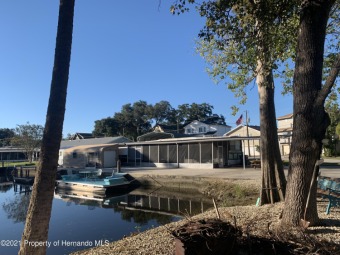 (private lake, pond, creek) Home For Sale in Weeki Wachee Florida