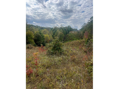Lake Hiwassee Acreage Active Under Contract in Murphy North Carolina
