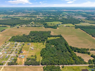Opportunity awaits with this beautiful parcel nestled in one of - photo 3