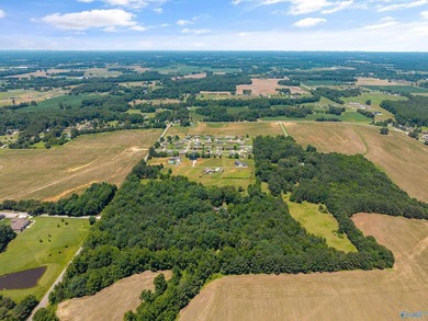 Opportunity awaits with this beautiful parcel nestled in one of - photo 5