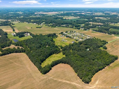 Opportunity awaits with this beautiful parcel nestled in one of - photo 6