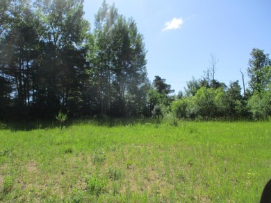 Lake Acreage For Sale in Casnovia, Michigan