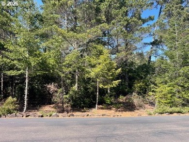 Tucked just north of Florence in the sought-after Heceta South - photo 1