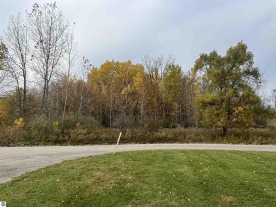 (private lake, pond, creek) Lot For Sale in Mount Pleasant Michigan