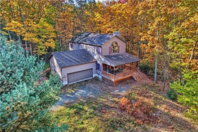 321 South Shore Drive is a modern Wolf Lake home built to take - Lake Home For Sale in Rock Hill, New York