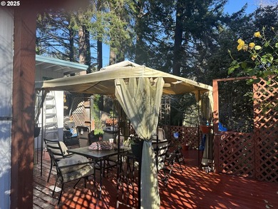 This comfy 2 bdrm/2 bath home in a 55+ park up the Chetco river - photo 19
