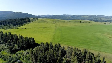 Welcome to Elk Mountain, an exceptional 80-acre parcel in the - photo 20