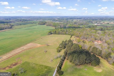 Discover the opportunity to own a beautiful farm, private estate - photo 1