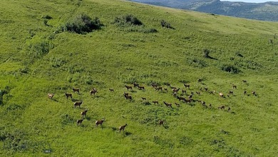 Welcome to Elk Mountain, an exceptional 80-acre parcel in the - photo 21
